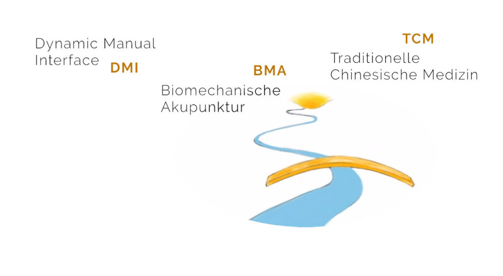 HDF-Behandlung, drei Therapiekomponenten